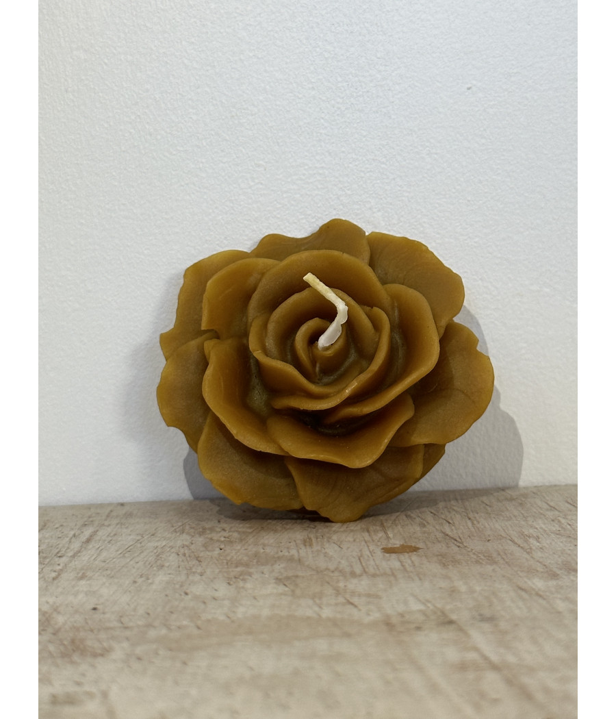 Bougie Rose
